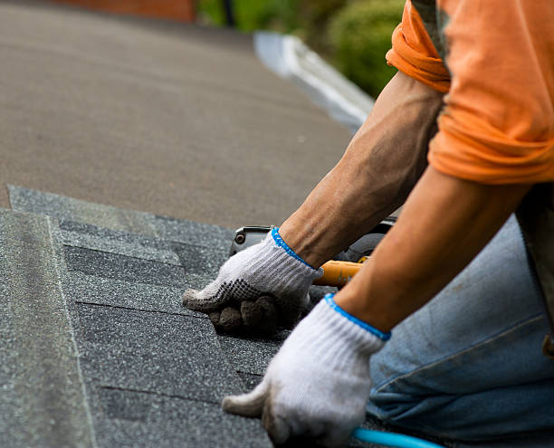 Best Storm Damage Roof Repair  in Surgoinsville, TN